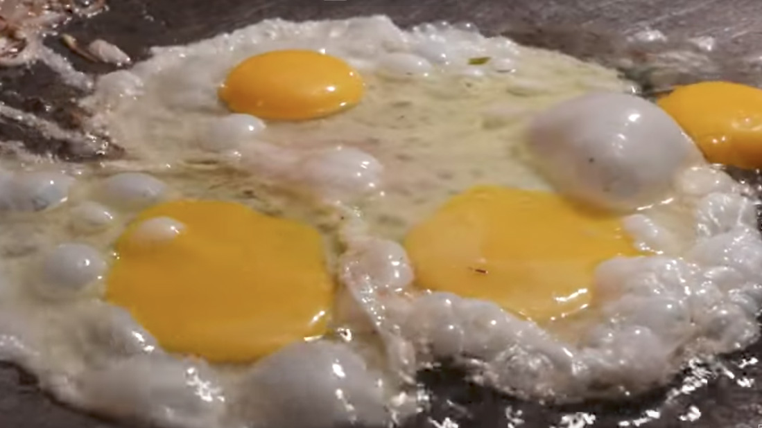 SCRAMBLED EGGS CORECODILE